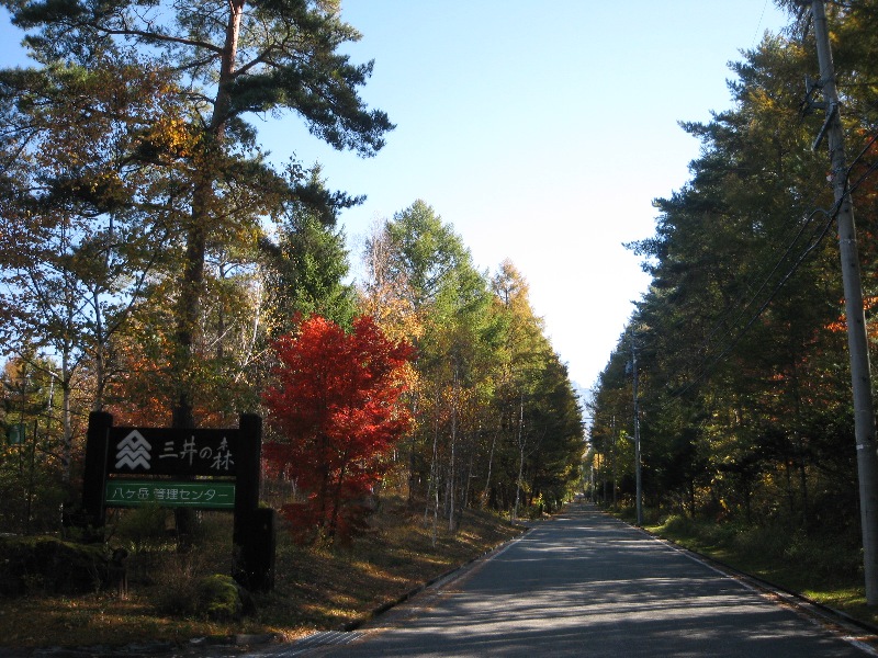 /yatsugatake/now/131028%20%E4%B8%89%E4%BA%95%E3%81%AE%E6%A3%AE.JPG