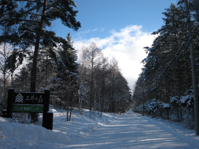 /yatsugatake/now/131222%20%E4%B8%89%E4%BA%95%E3%81%AE%E6%A3%AE.JPG