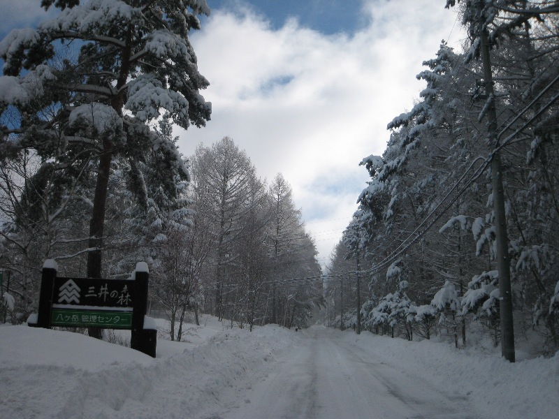 /yatsugatake/now/140209%20%E4%B8%89%E4%BA%95%E3%81%AE%E6%A3%AE.JPG