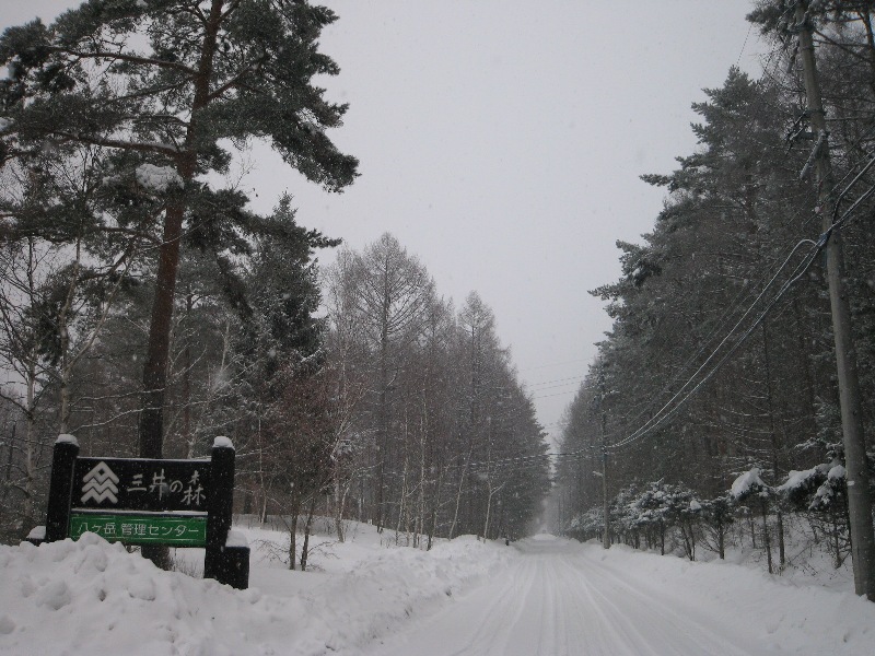 /yatsugatake/now/140214%20%E4%B8%89%E4%BA%95%E3%81%AE%E6%A3%AE%EF%BC%91.JPG