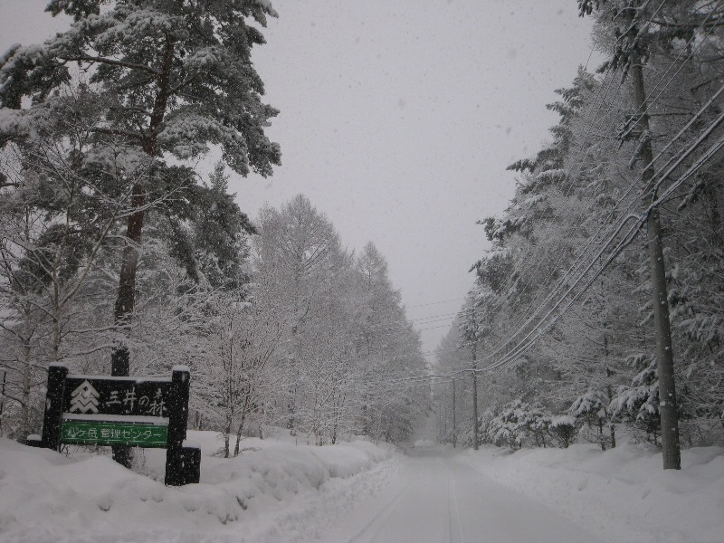 /yatsugatake/now/140305%20%E4%B8%89%E4%BA%95%E3%81%AE%E6%A3%AE.JPG