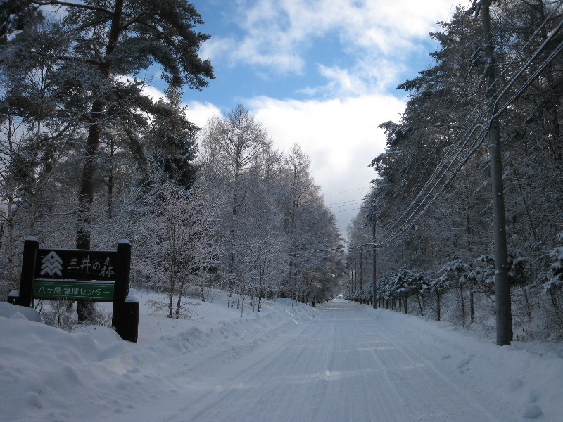 /yatsugatake/now/150123%20%E4%B8%89%E4%BA%95%E3%81%AE%E6%A3%AE.JPG