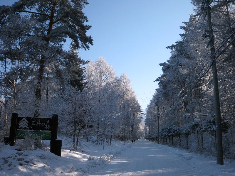 /yatsugatake/now/160131mituinomori.JPG