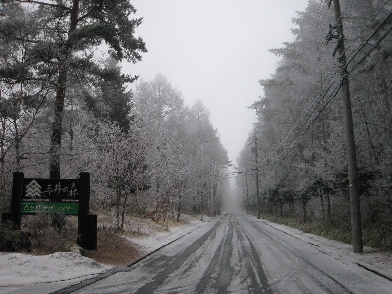 /yatsugatake/now/160310mitui.JPG