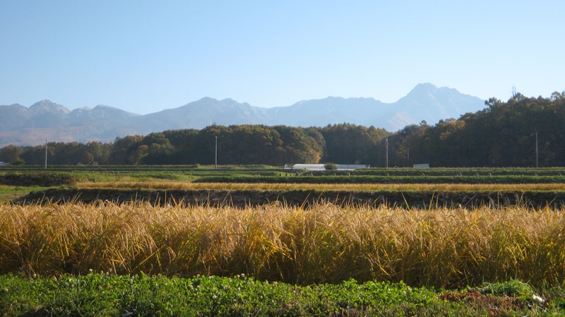 /yatsugatake/now/171031-1.JPG