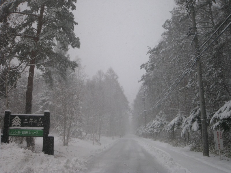 /yatsugatake/now/190410.JPG