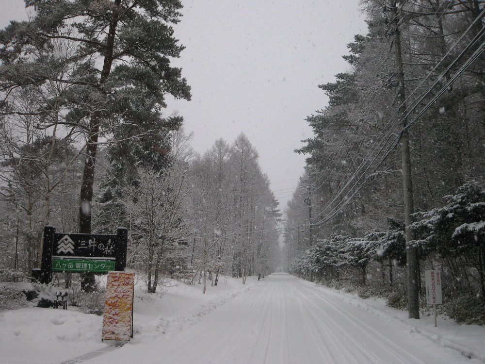 /yatsugatake/now/200107.JPG