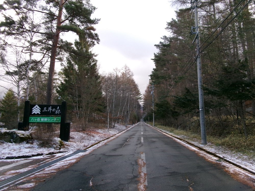 https://www.31kanri.jp/yatsugatake/now/241128.JPG