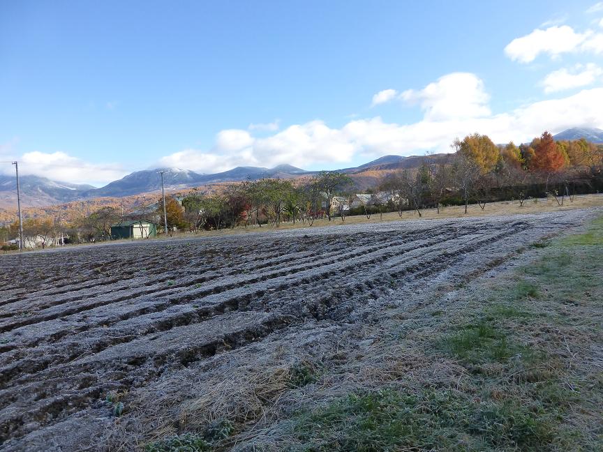 /yatsugatake/now/P1070229.JPG