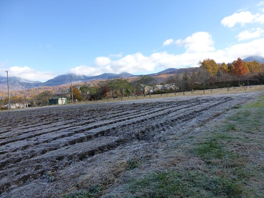 /yatsugatake/now/P1070229.JPG